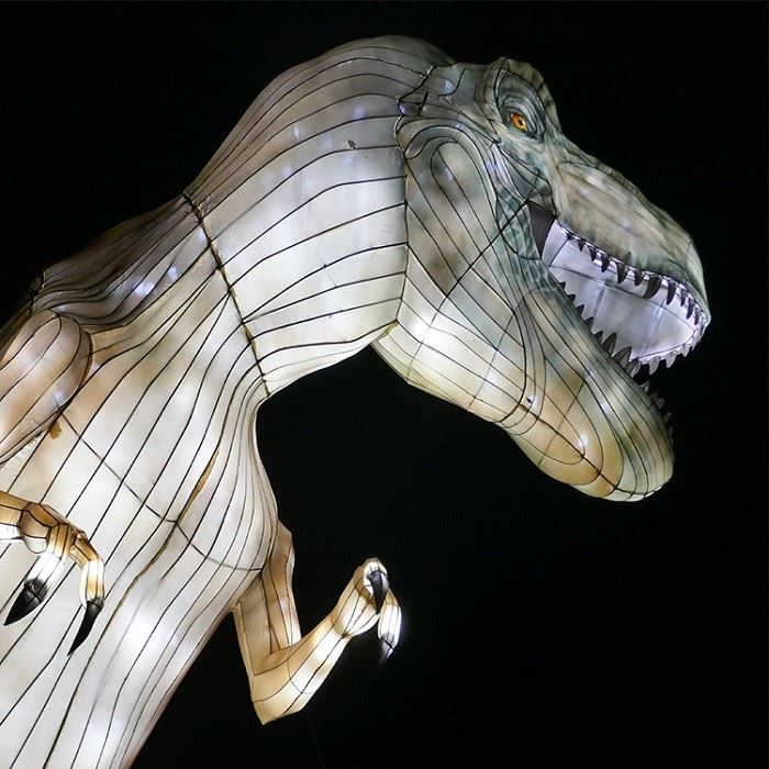 Dinosaure Lantern